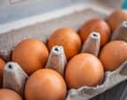 oeufs istock